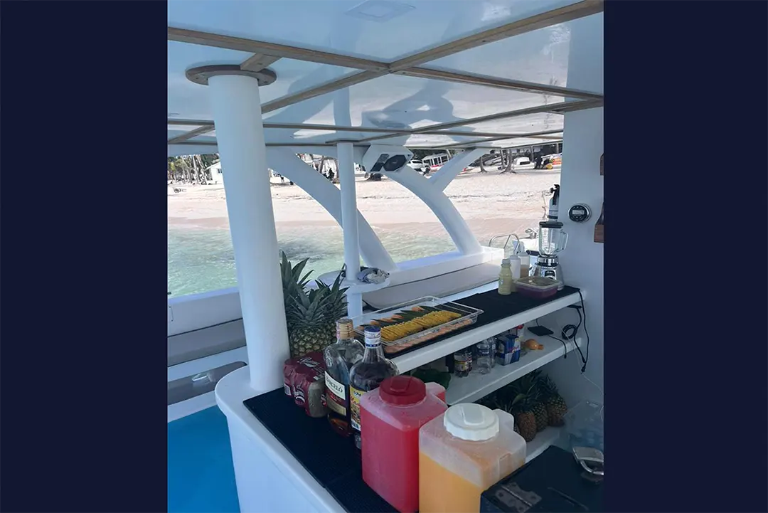 catamaran-LING-CATAMARAN-rentals-punta-cana