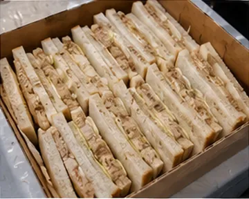 Sealife sandwich box