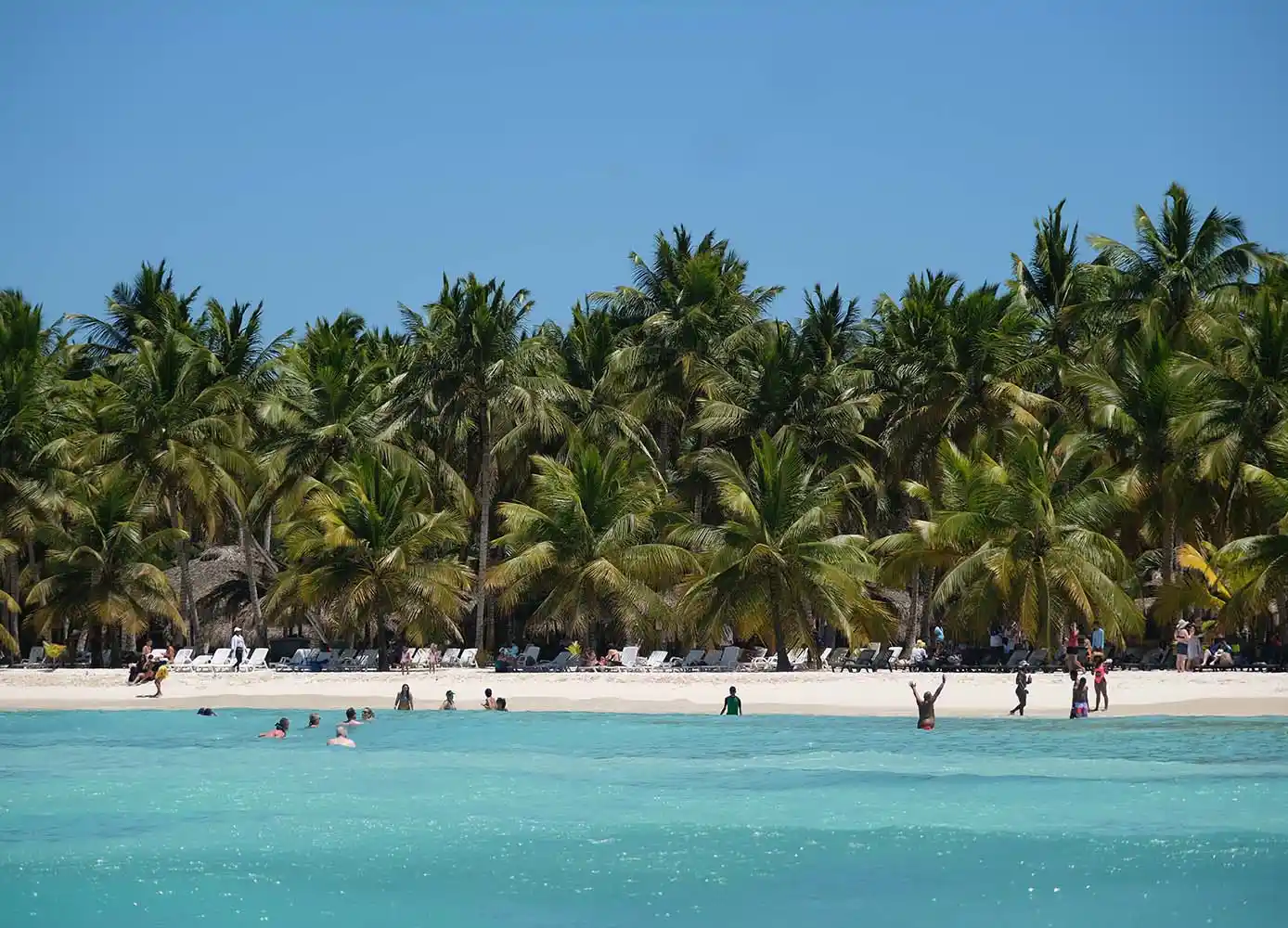 Catamaran approaching Saona Island with palm-lined beach