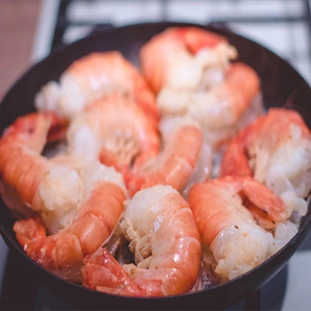 Shrimp