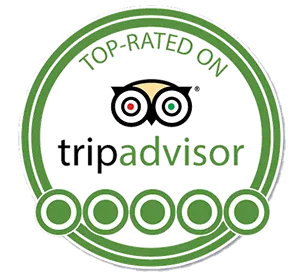 Tripadvisor Yacht Rental Punta Cana