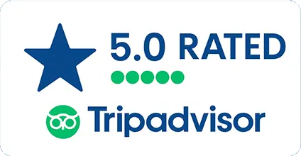 Tripadvisor Reviews