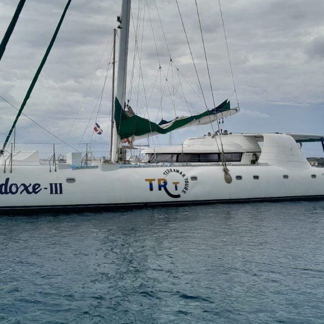paradox-large-boat