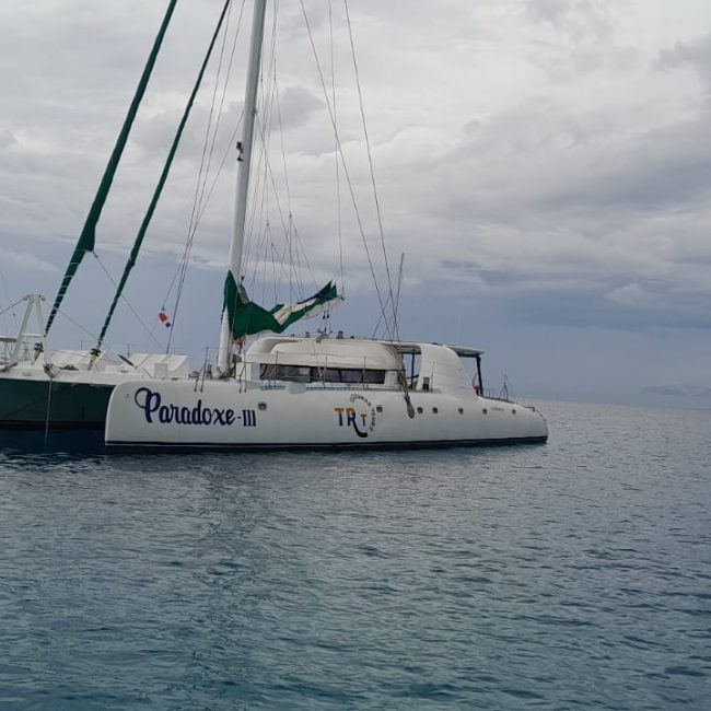 paradox-large-boat