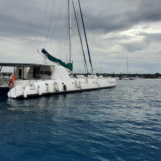 Paradoxe III private catamaran photo 3