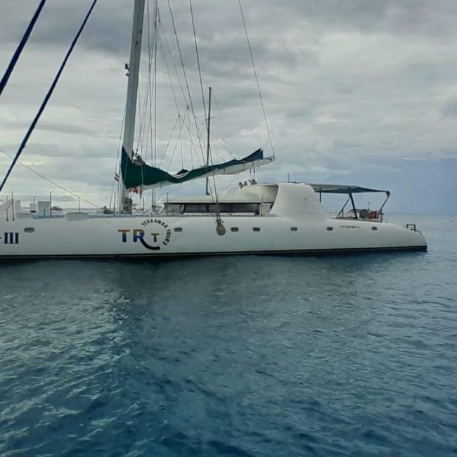 paradox-large-boat