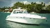 Sea Ray 54ft Yacht Casa de Campo thumbnail 1